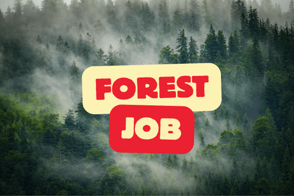 BTC Kokrajhar Forest Recruitment